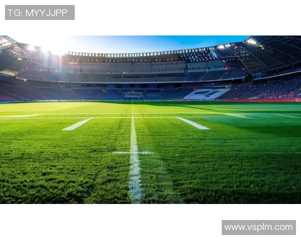 足球博士球星：揭秘绿茵场上的智慧与技术 如何成就他独特的球场魅力